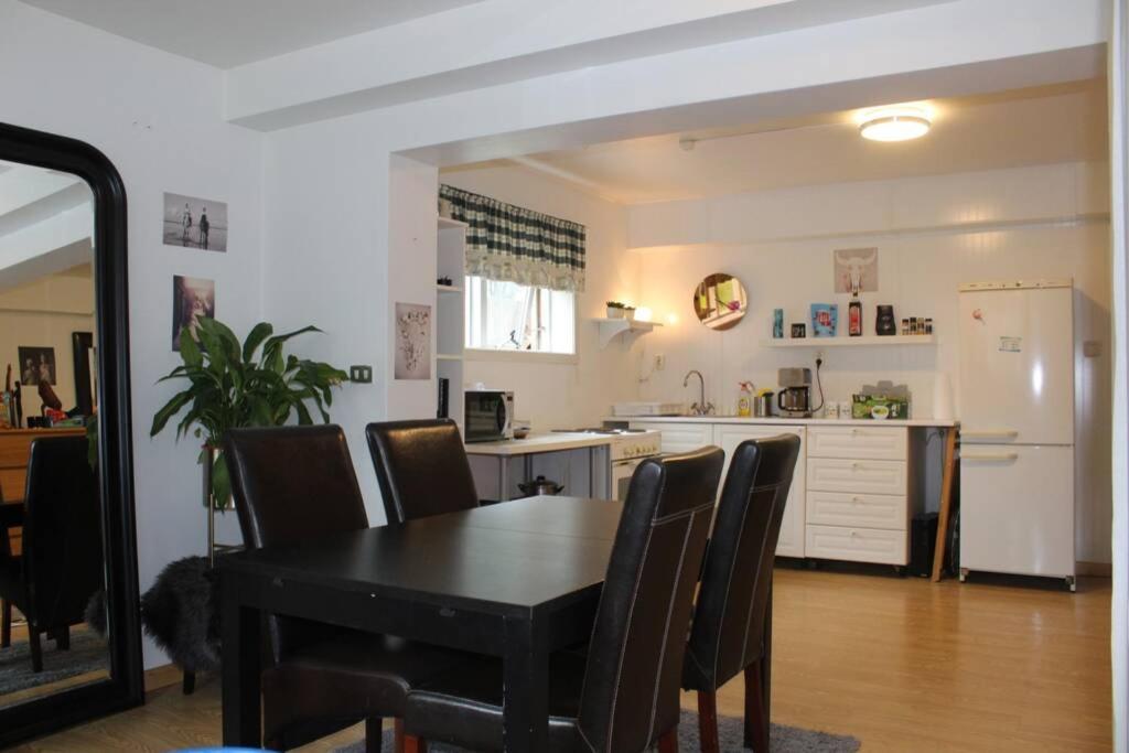 Beautiful Studio Apt. Walking Distance To Dt Rvk. Appartamento